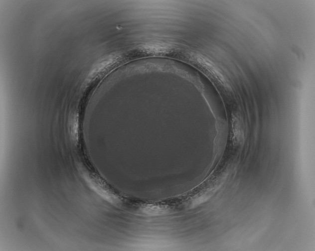 X0000112530494200908171424