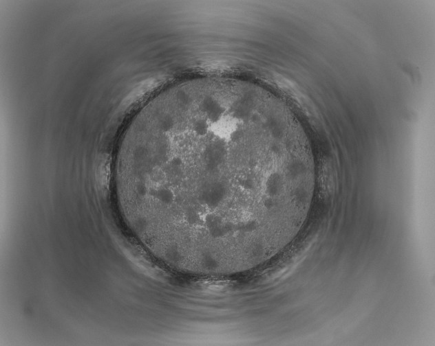 X0000112530495200908171424