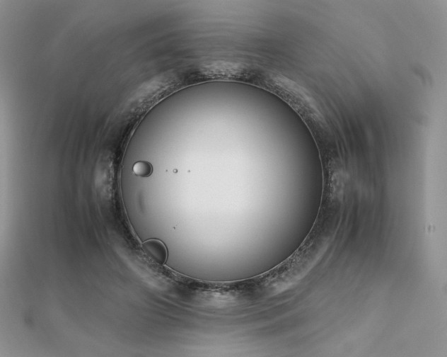 X0000112530498200908171424