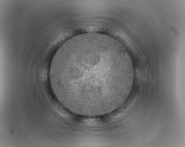 X0000112530499200908171424