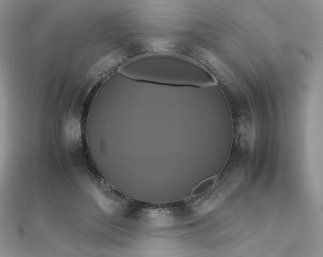 X0000112530500200908171424