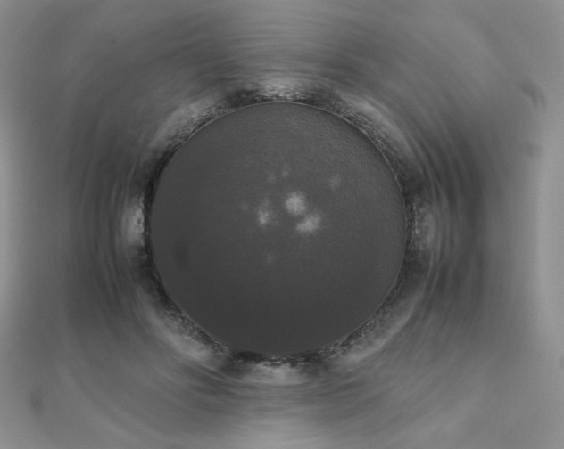 X0000112530502200908171424