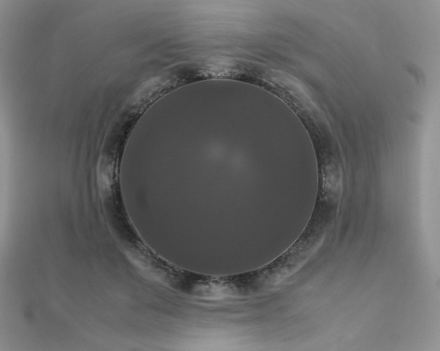X0000112530503200908171424