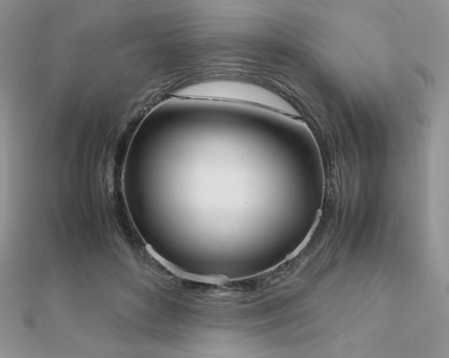 X0000112530504200908171424