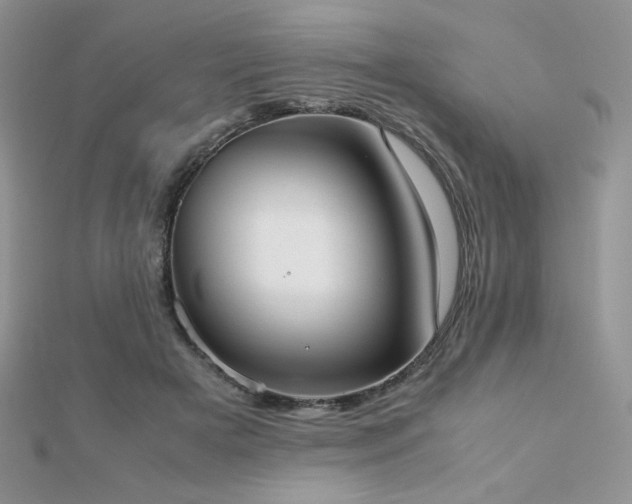X0000112530505200908171424