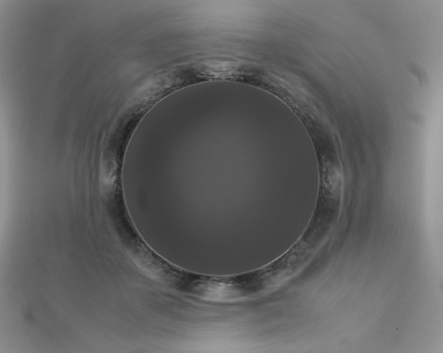 X0000112530507200908171424