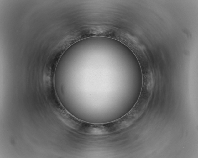 X0000112530510200908171424