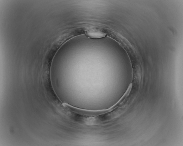 X0000112530513200908171423
