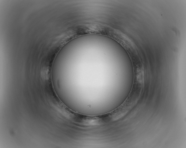 X0000112530514200908171423