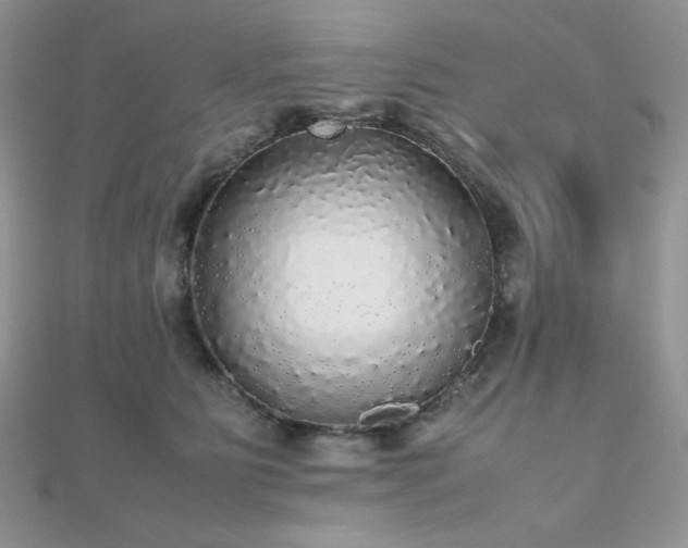 X0000112530515200908171423