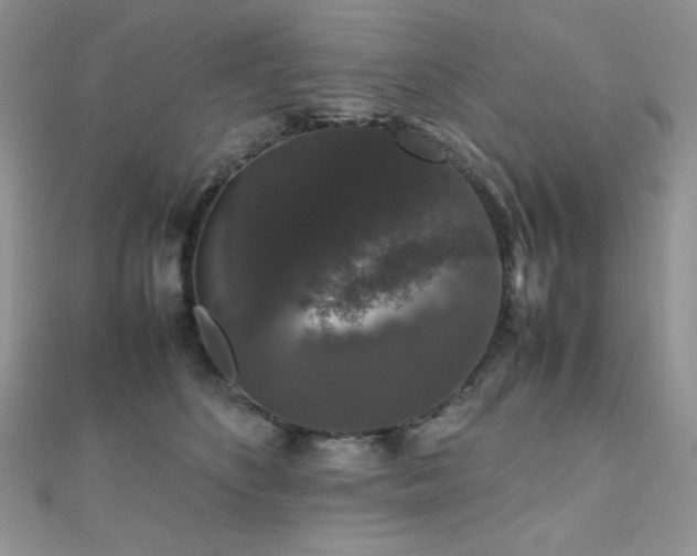 X0000112530516200908171423