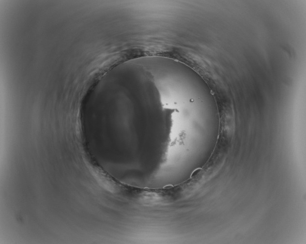 X0000112530519200908171423