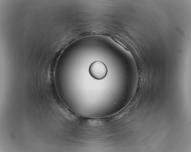 X0000112530520200908171423