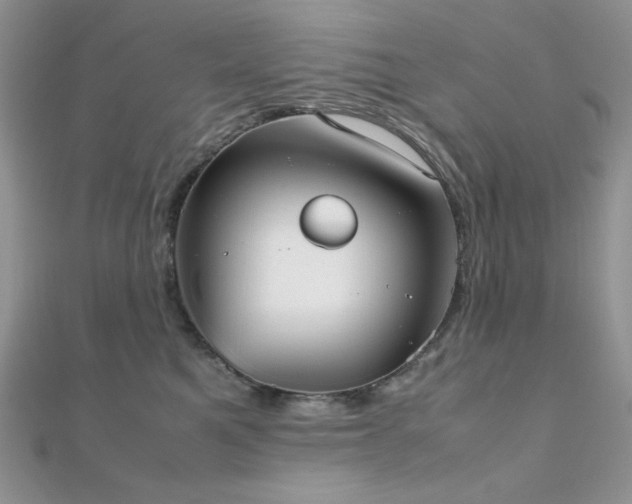 X0000112530521200908171423