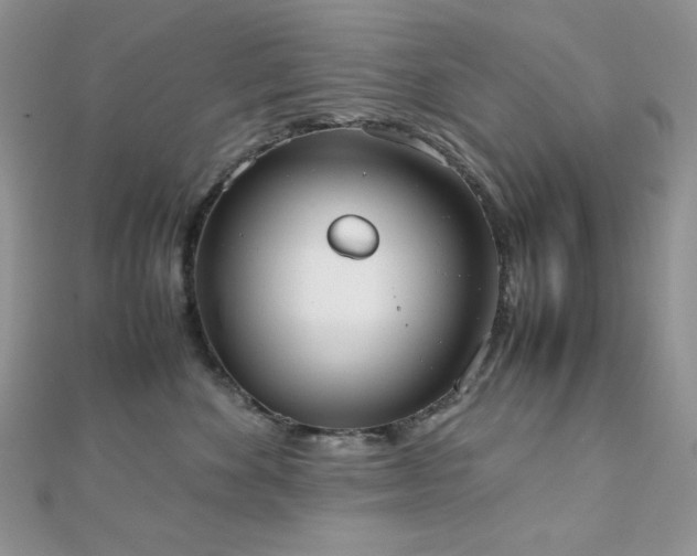 X0000112530524200908171423