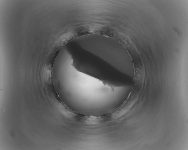 X0000112530527200908171423