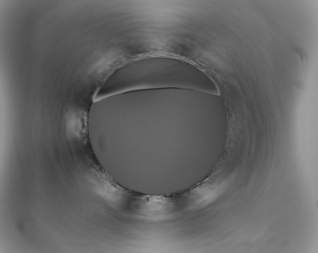 X0000112530528200908171423