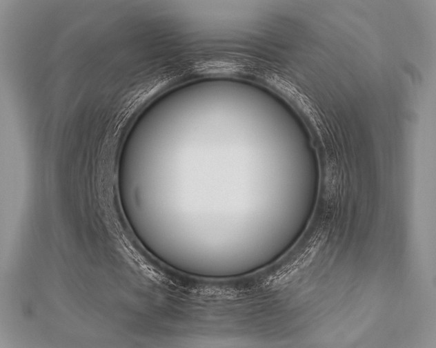 X0000112530529200908171422