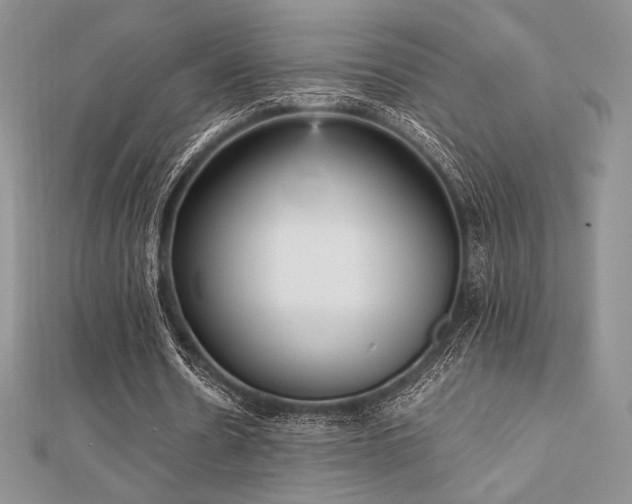 X0000112530530200908171422