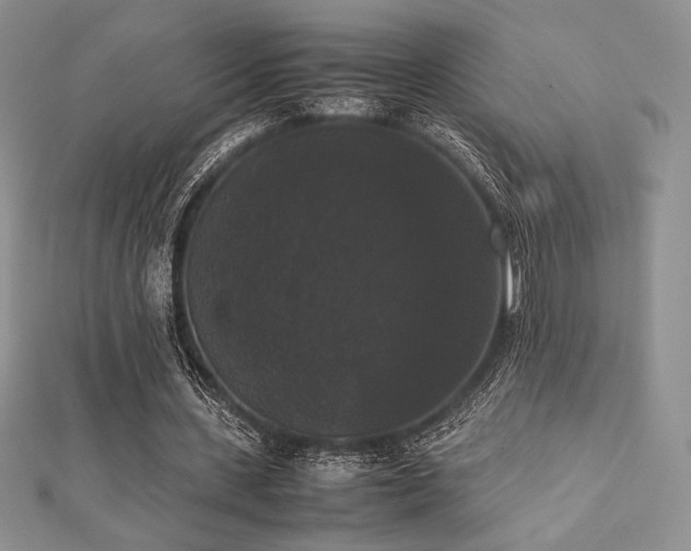 X0000112530531200908171423