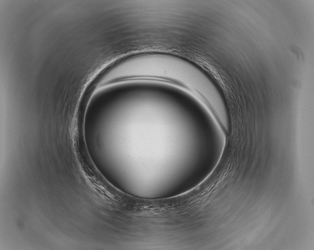 X0000112530532200908171423