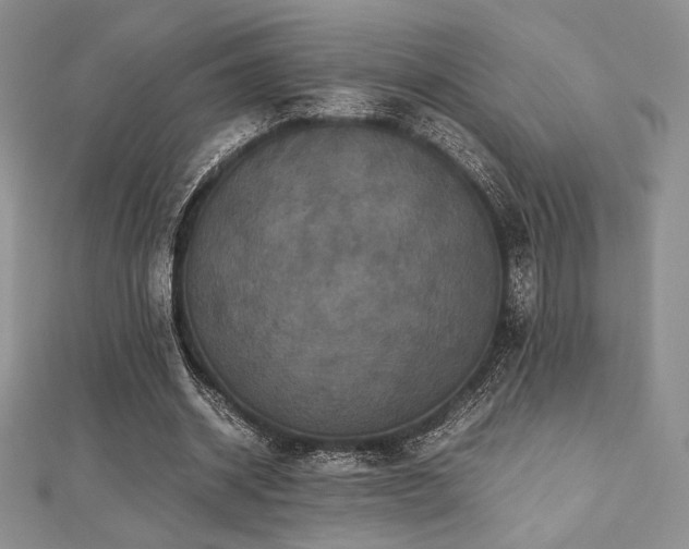 X0000112530534200908171423