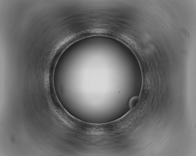 X0000112530535200908171423