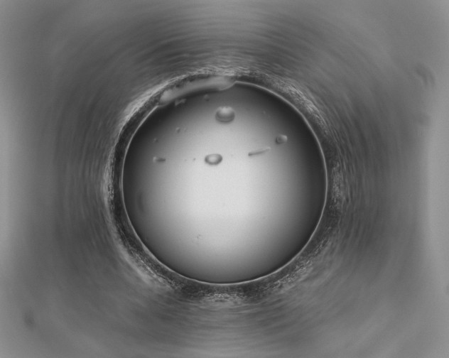 X0000112530536200908171423