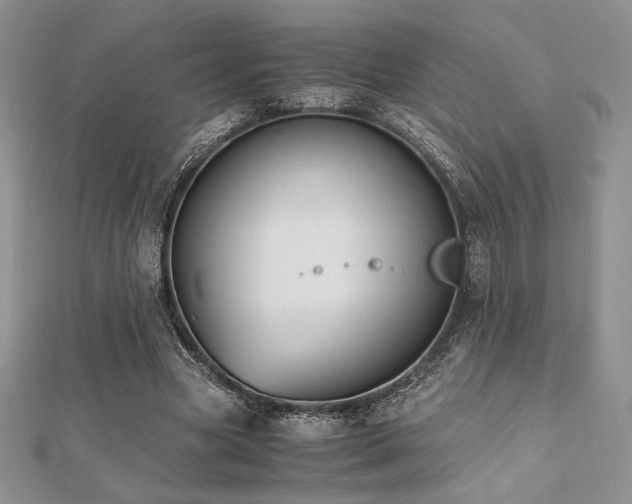 X0000112530537200908171423
