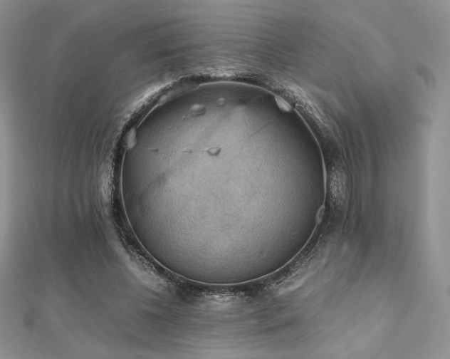 X0000112530540200908171423