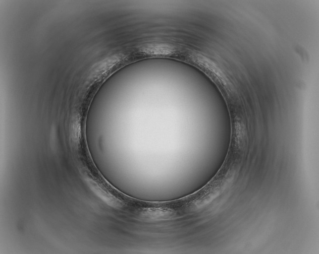 X0000112530541200908171423