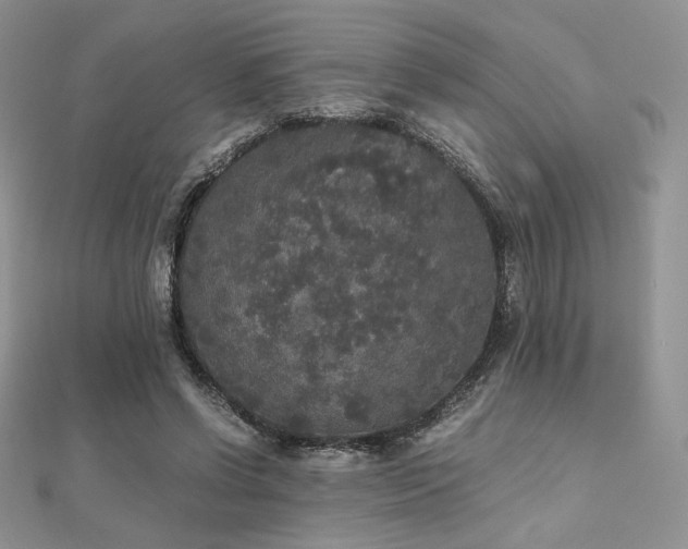 X0000112530542200908171423