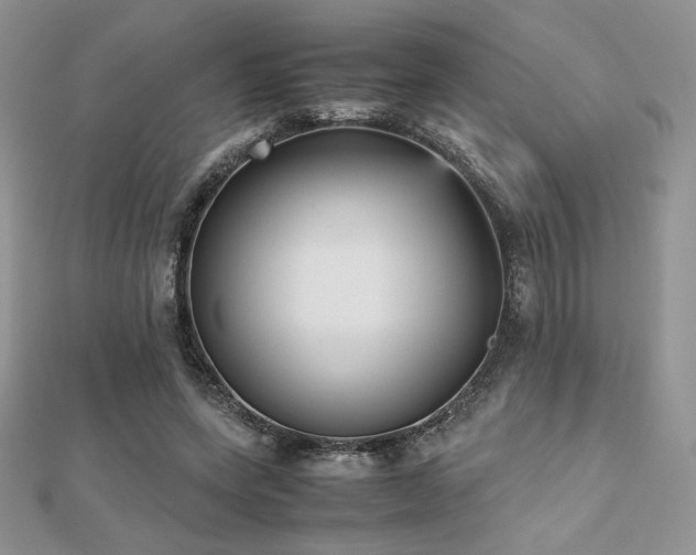 X0000112530543200908171423