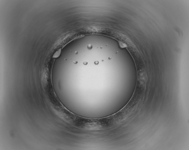 X0000112530544200908171423