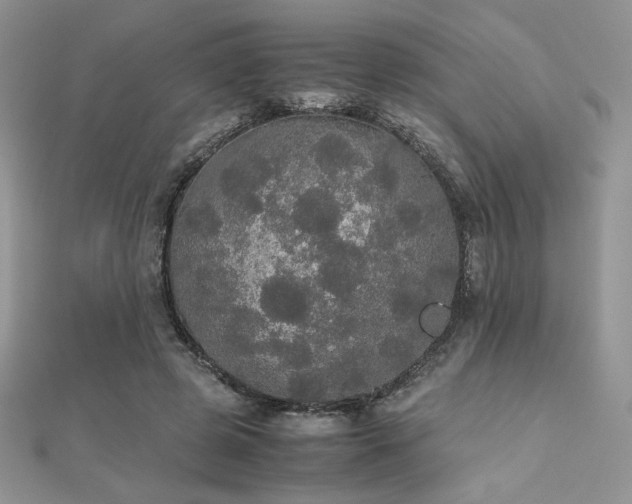 X0000112530545200908171423