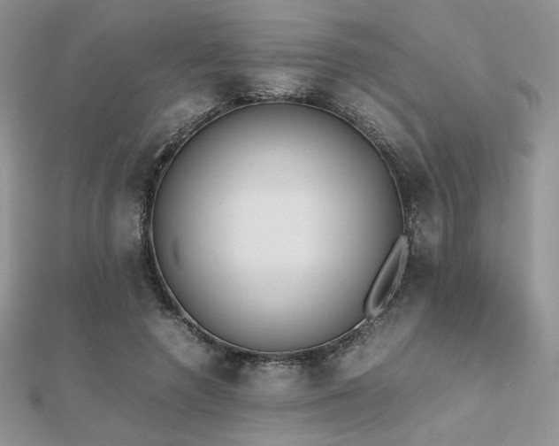 X0000112530546200908171423