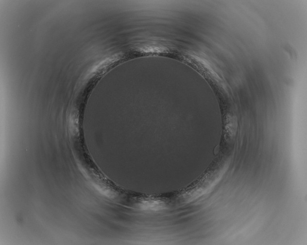 X0000112530547200908171423