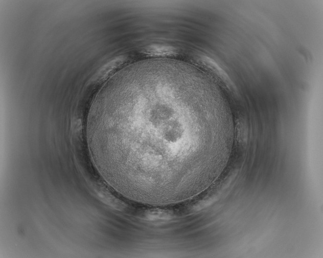 X0000112530549200908171423