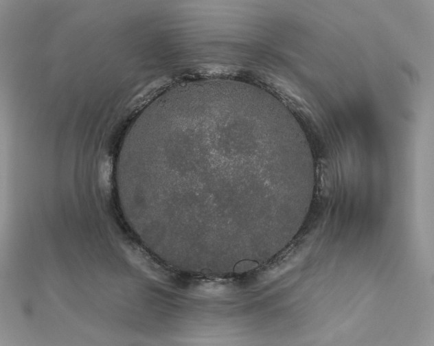 X0000112530550200908171423