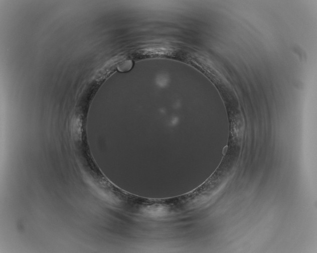 X0000112530551200908171423