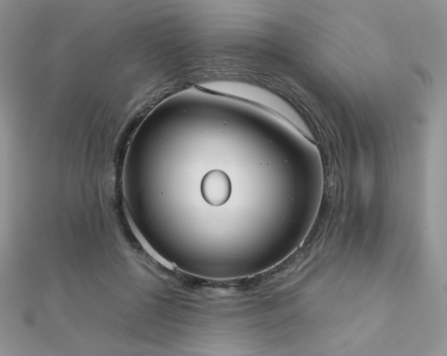 X0000112530552200908171423