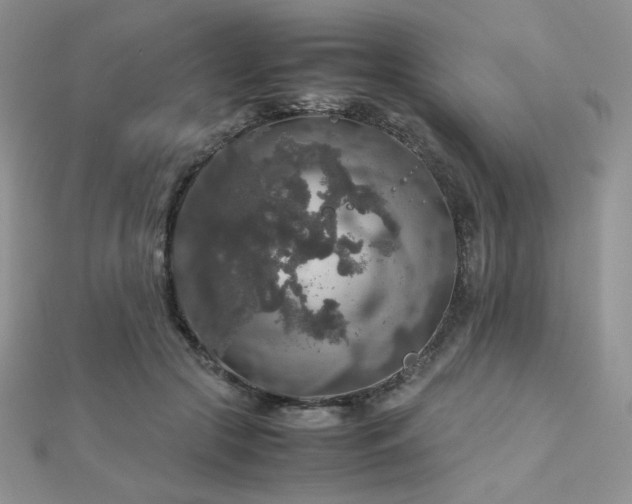 X0000112530553200908171423