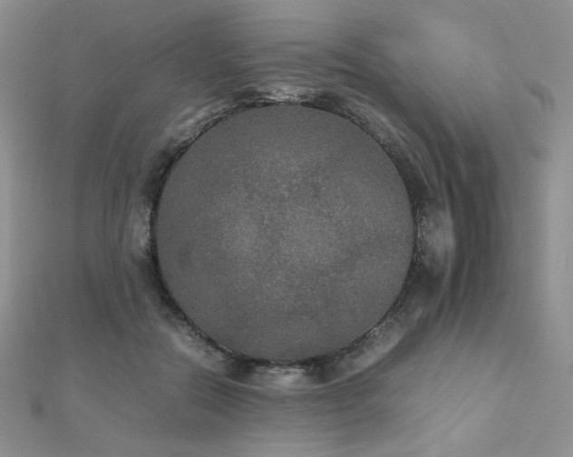 X0000112530554200908171423