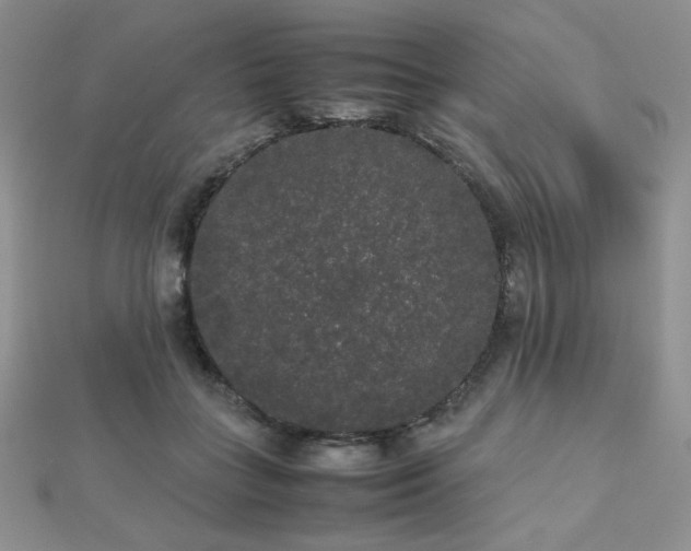 X0000112530555200908171423