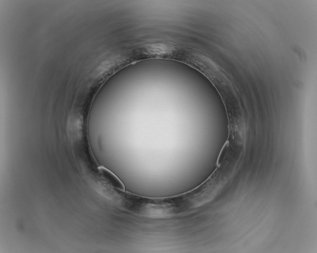 X0000112530556200908171423