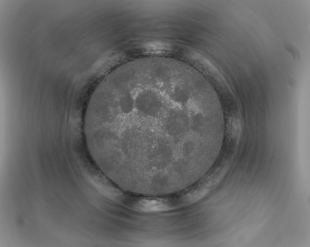 X0000112530557200908171423
