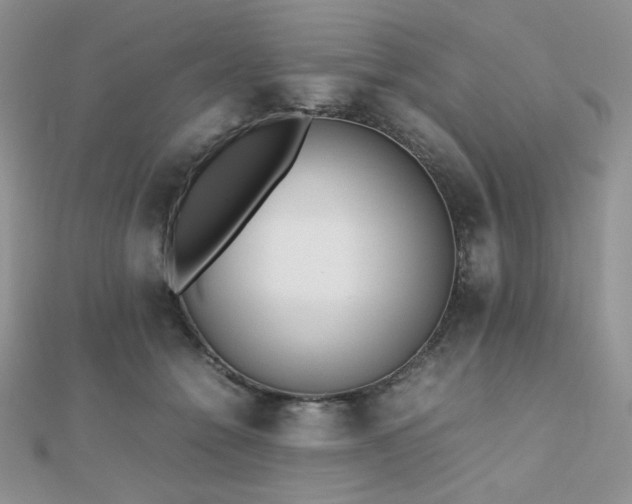 X0000112530558200908171423