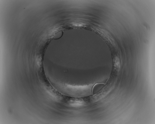 X0000112530559200908171423