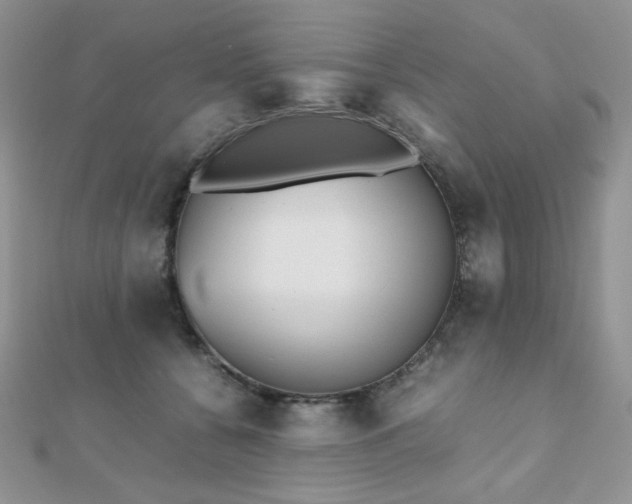 X0000112530560200908171423