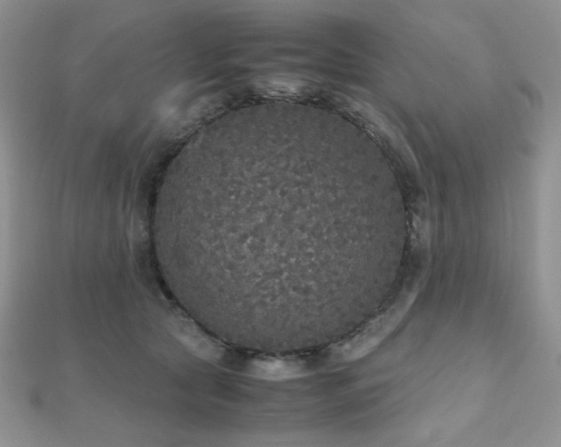 X0000112530561200908171423